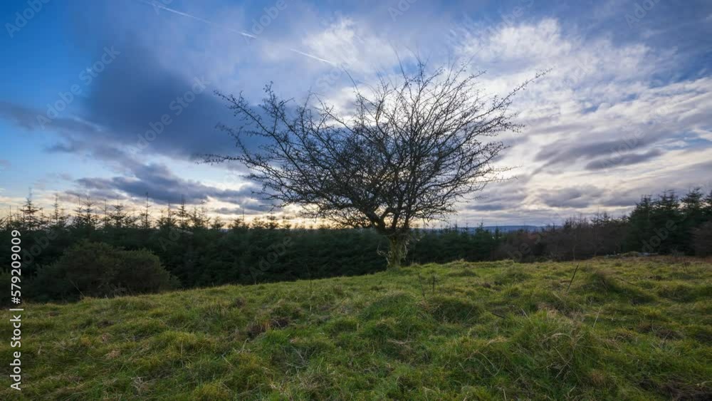 Time lapse of rural farming landscape with single tree in foreground and local coniferous forest in background during a dramatic cloudy sunset in county Roscommon in Ireland. Time lapse of rural farming landscape with single tree in foreground and local coniferous forest in background during a dramatic cloudy sunset in county Roscommon in Ireland.
