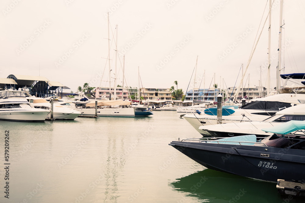 Yacht marina, various sea cruise ships for tourist services