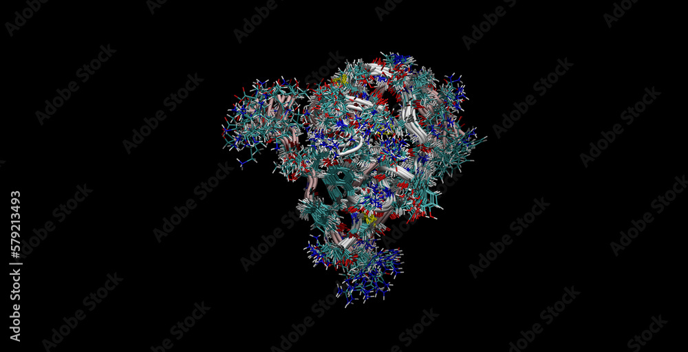 Human insulin (engineered) NMR structure (movement in water),  3D molecule 4K 
