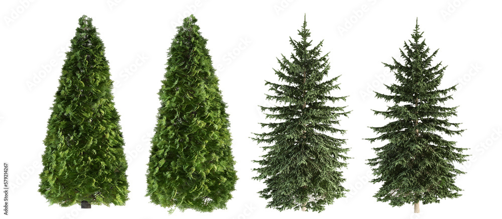 christmas branches plant in a vase christmas branches plant in a vase