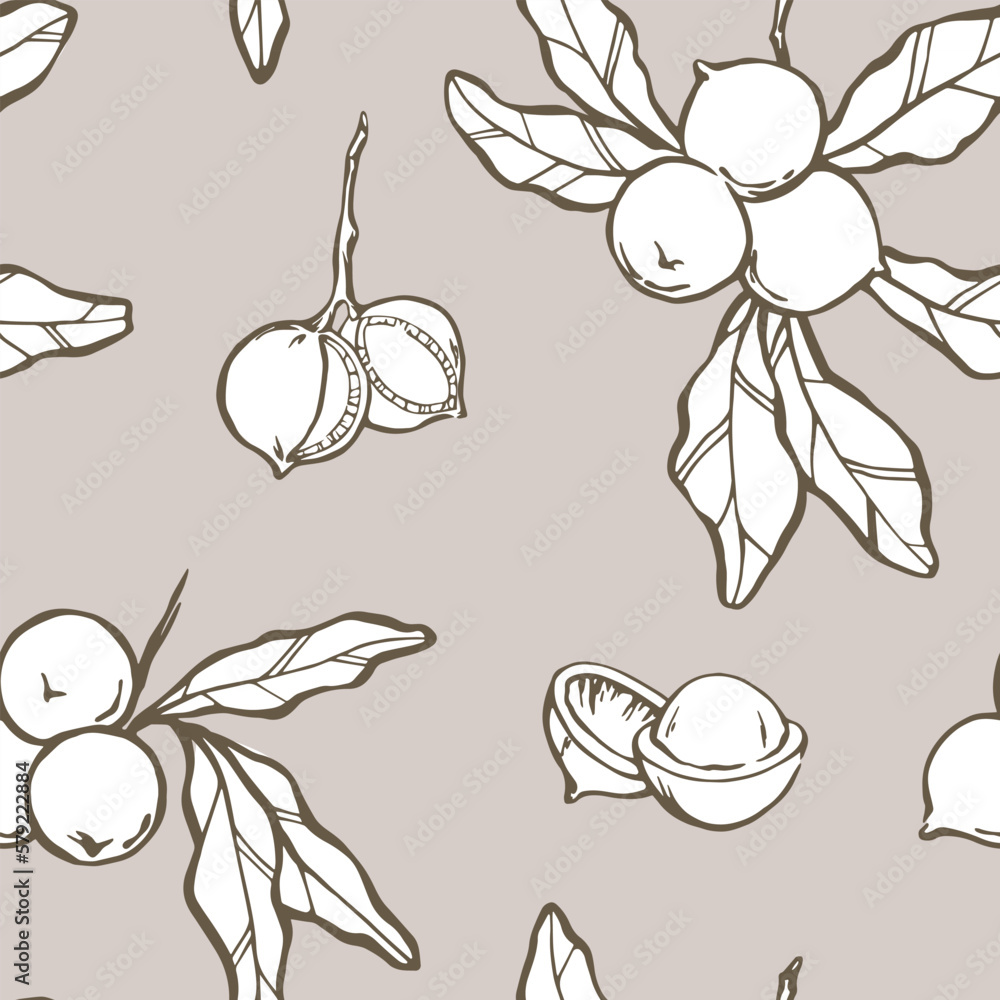 Macadamia seamless pattern branch leaves and shelled nuts grey brown hand drawn background design