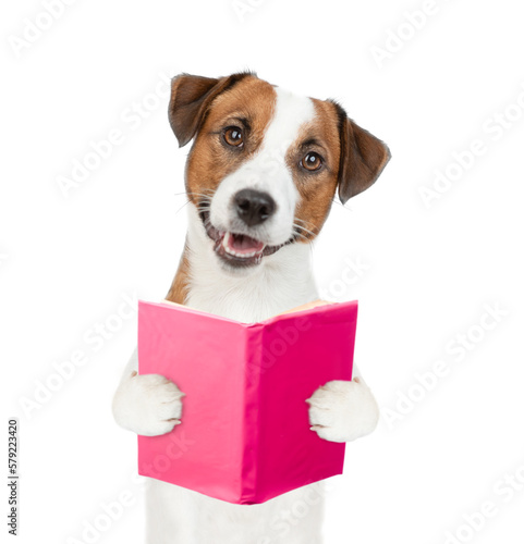 Smart Jack russel terrier puppy holding open book and looking at camera. isolated on white background