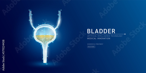 Website template. Human bladder anatomy translucent low poly triangles. Futuristic glowing organ hologram on dark blue background. Medical innovation diagnosis treatment concept. Banner vector.