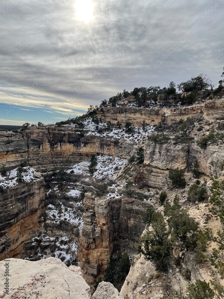 View of the Grand Canyon with and trees.