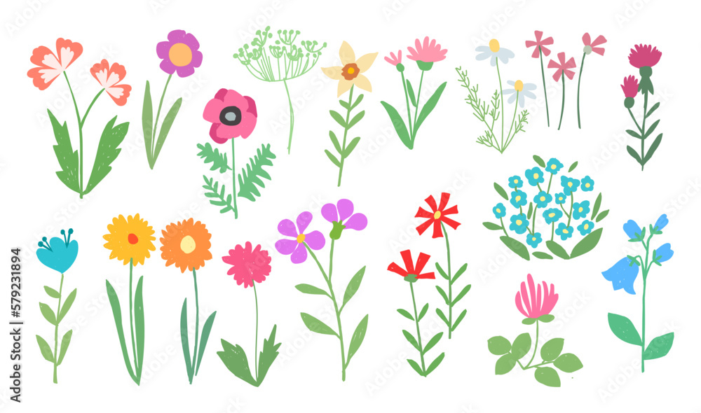Children's drawing. Set with wild flowers