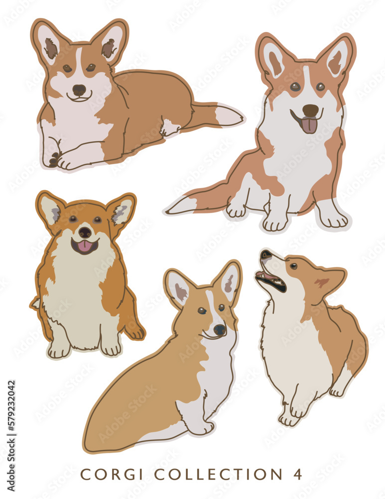 Corgi Dog Color Illustrations in Various Poses Collection 4