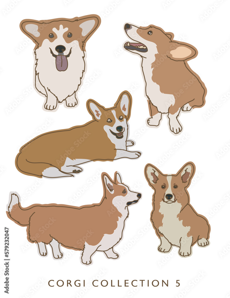 Corgi Dog Color Illustrations in Various Poses Collection 5