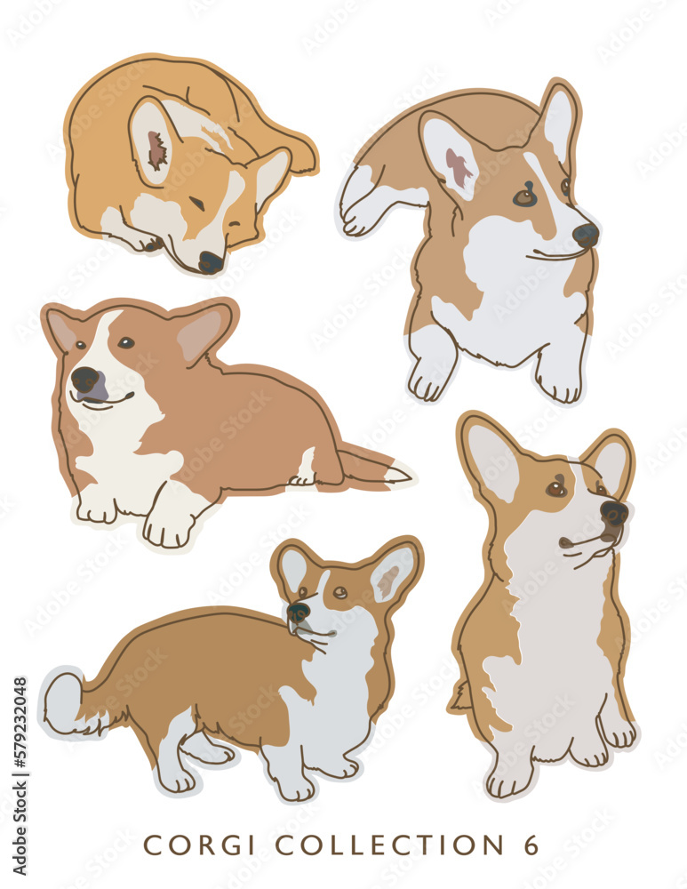 Naklejka premium Corgi Dog Color Illustrations in Various Poses Collection 6
