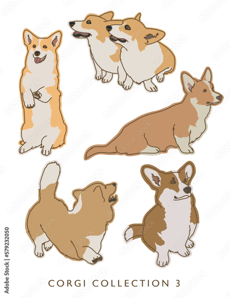 Corgi Dog Color Illustrations in Various Poses Collection 3