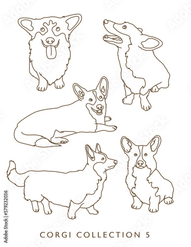 Corgi Dog Outline Illustrations in Various Poses Collection 5