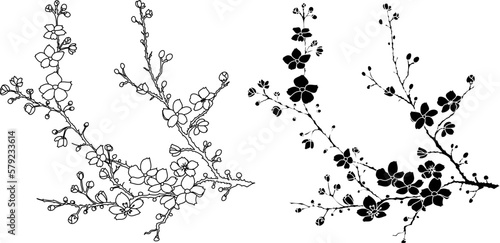 Cherry blossom vector illustration on white isolated.Peach blossom for doodle art on background.Sakura vector for tattoo design.Symbol flower of Japanese.Plum blossom vecor collection.beautiful floral