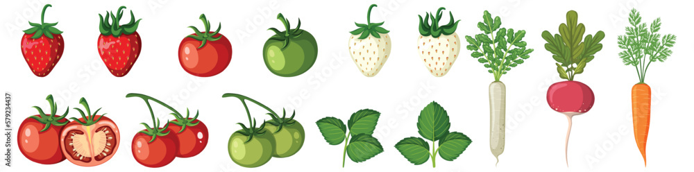 Set of vegetables on white background Set of vegetables on white background