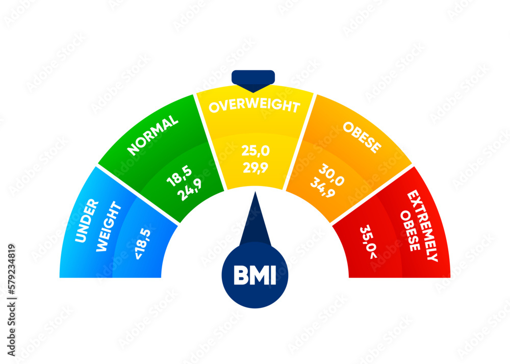 Body mass index. Weight loss concept. BMI scale. Before and after diet