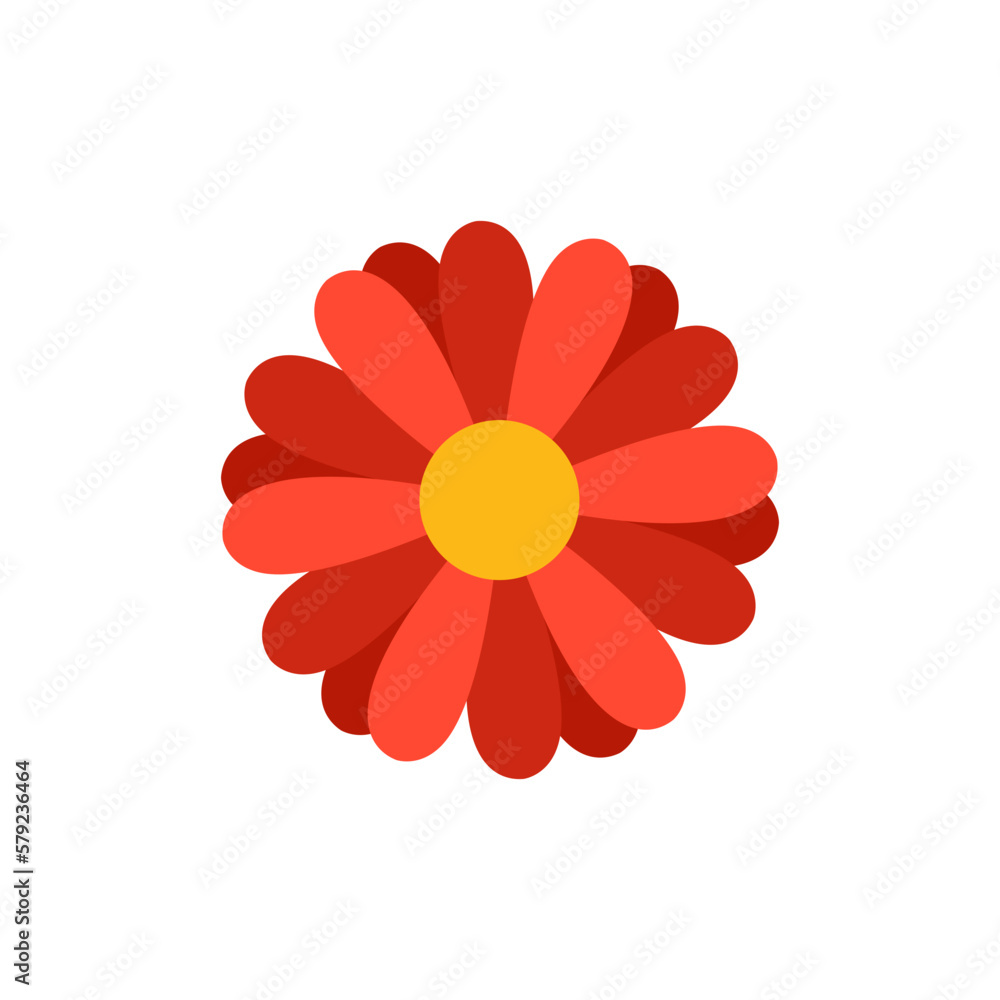 dahlia flower flat illustration dahlia flower flat illustration