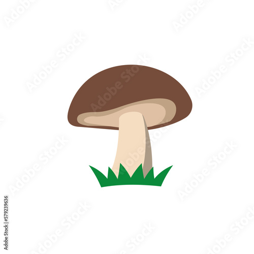 mushroom isolated on white
