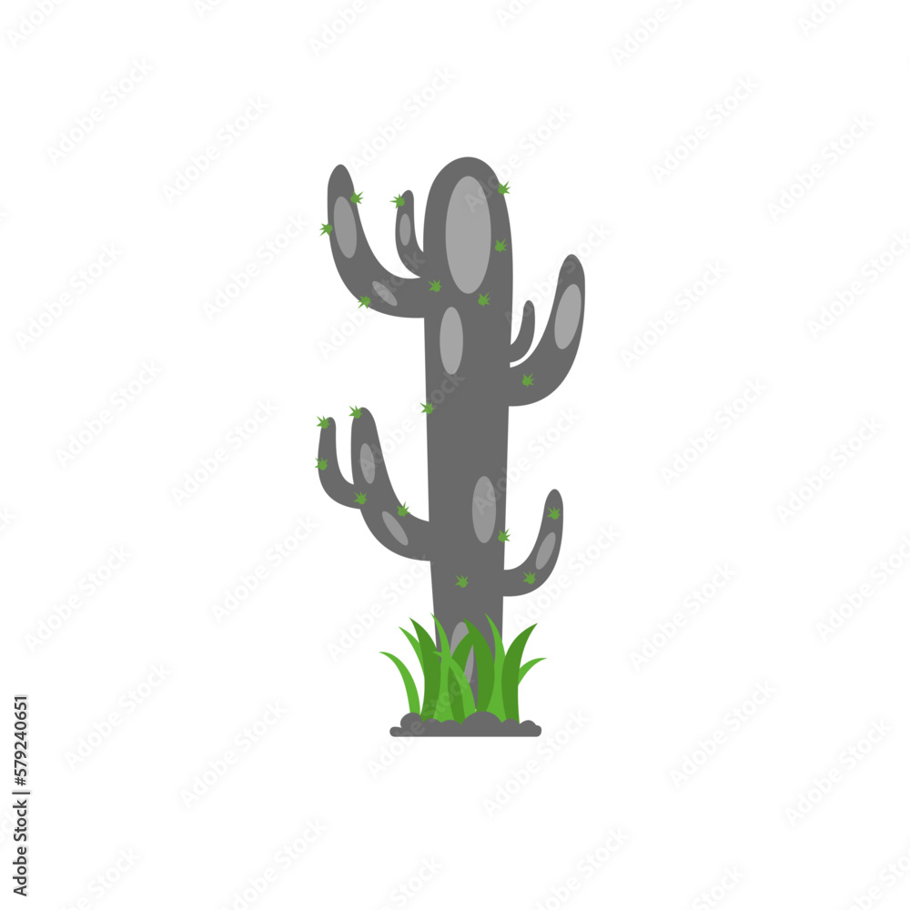 Obraz premium cactus isolated on white