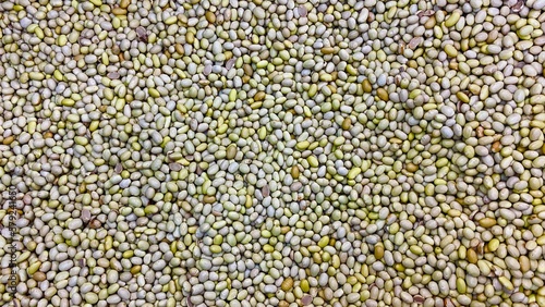 close up of a pile of lentils - seeds background Hd wallpaper - Houston  Texas  USA.
