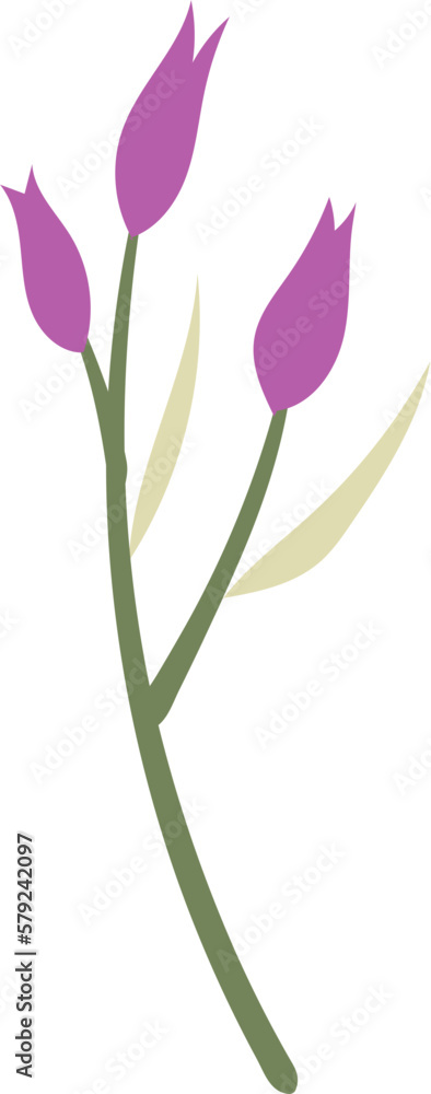 Obraz premium Watercolor Flower Illustration