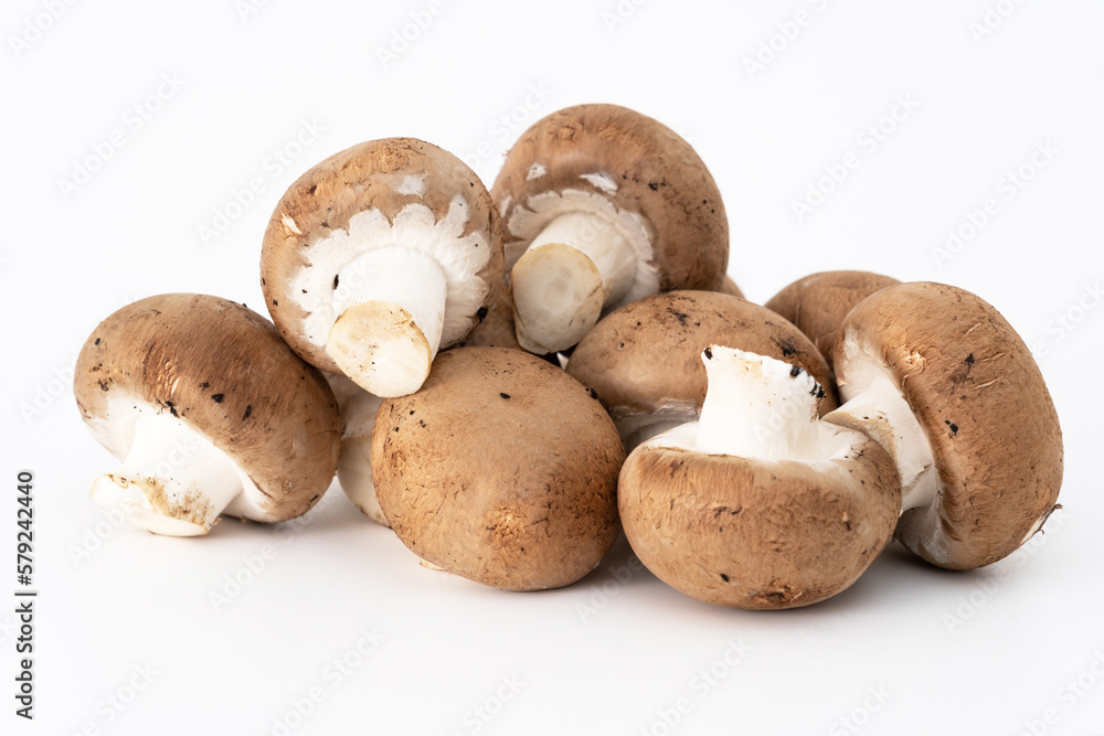 Champignons Champignons