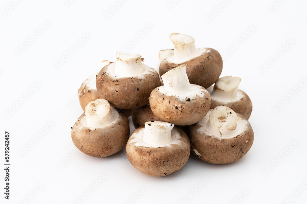 Champignons Champignons