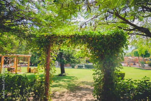 Arco de plantas en jardín