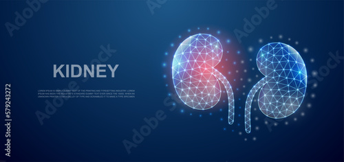 Kidneys 3d low poly symbol with pain center for landing page template. Kidneys pain, urinary design illustration concept. Polygonal organ illustration