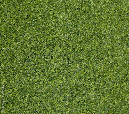 green grass background