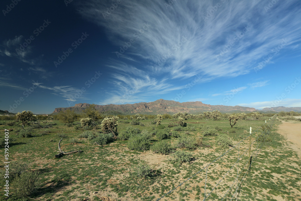 Obraz premium landscape with sky and clouds