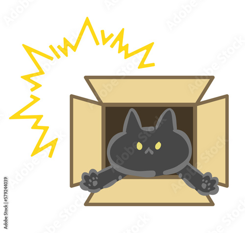 ダンボール箱から飛び出てくる黒猫のイラスト素材
