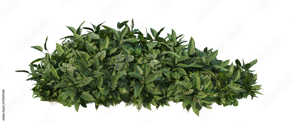 Naklejka premium A small garden with tropical plants on a transparent background.