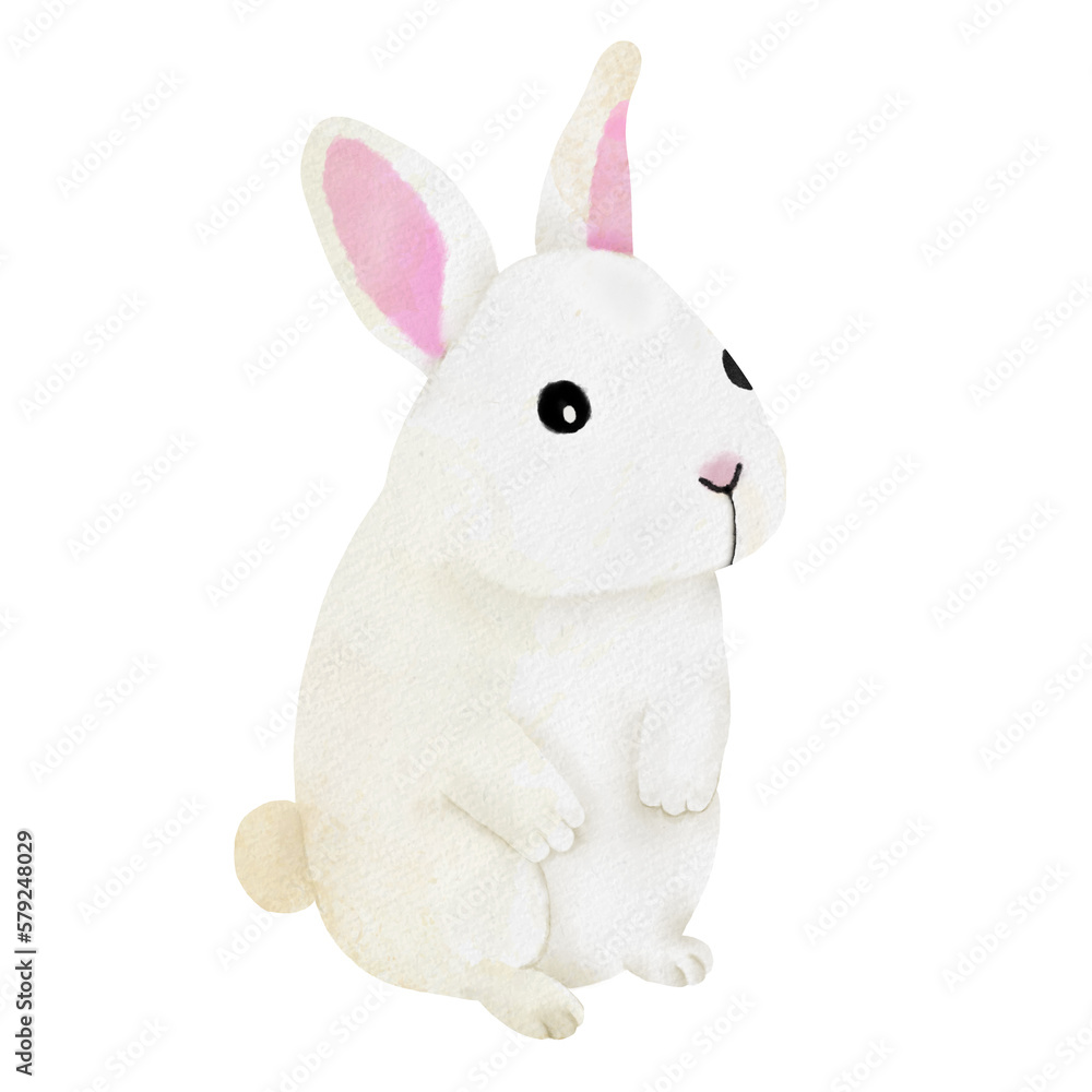 Obraz premium cute white rabbit illustration