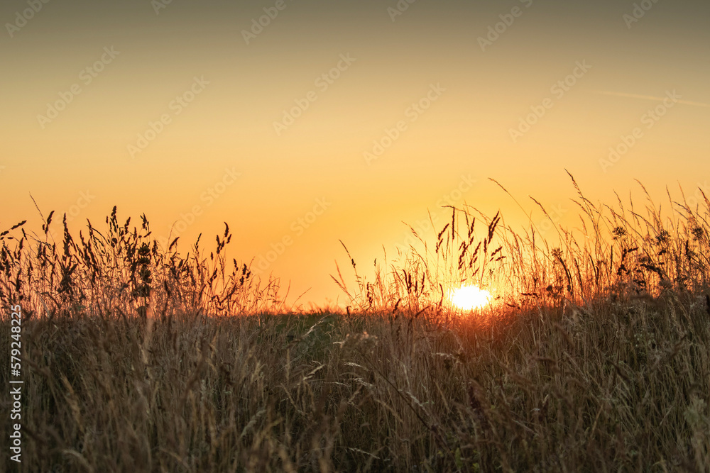 paysage, oiseau, voie lactée, randonnée