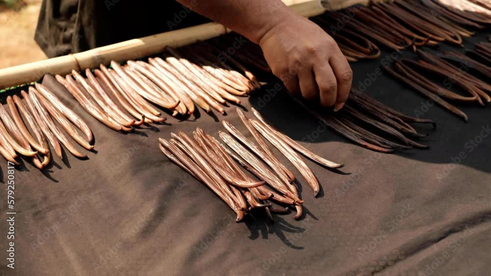 Vanilla Planifolia pods ,Bourbon Vanilla Dark brown black ,(vanilla