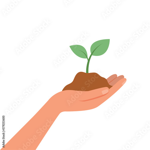 Hand holding a plant for environmental protection, environment day concept, 