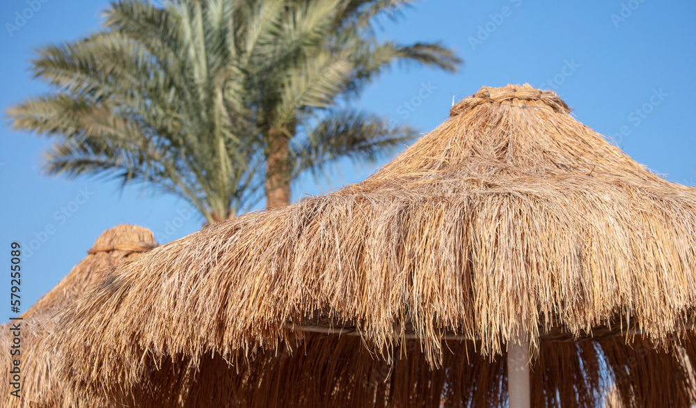 Straw umbrellas on the beach.