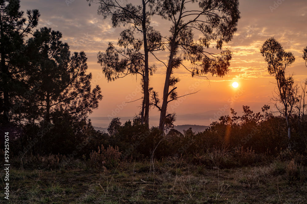 Naklejka premium Atardecer