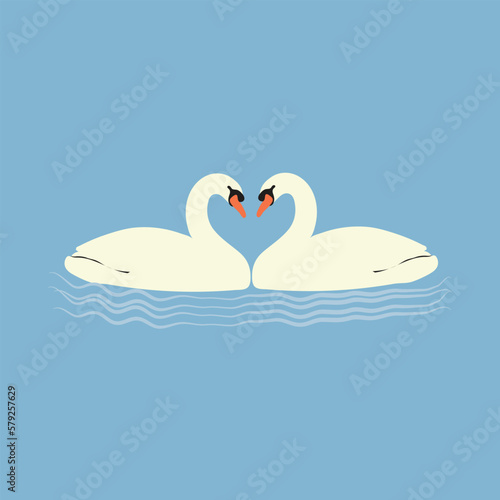Fototapeta Naklejka Na Ścianę i Meble -  Swan floating on the water-Vector Art Work