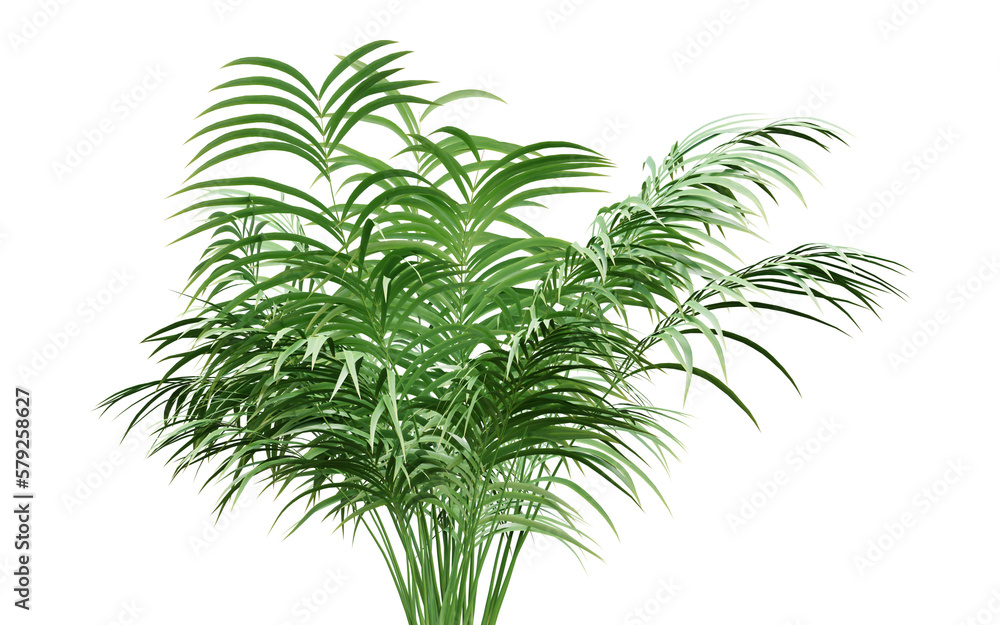 Green leaf of palm tree on transparent background, 3d render illustration.