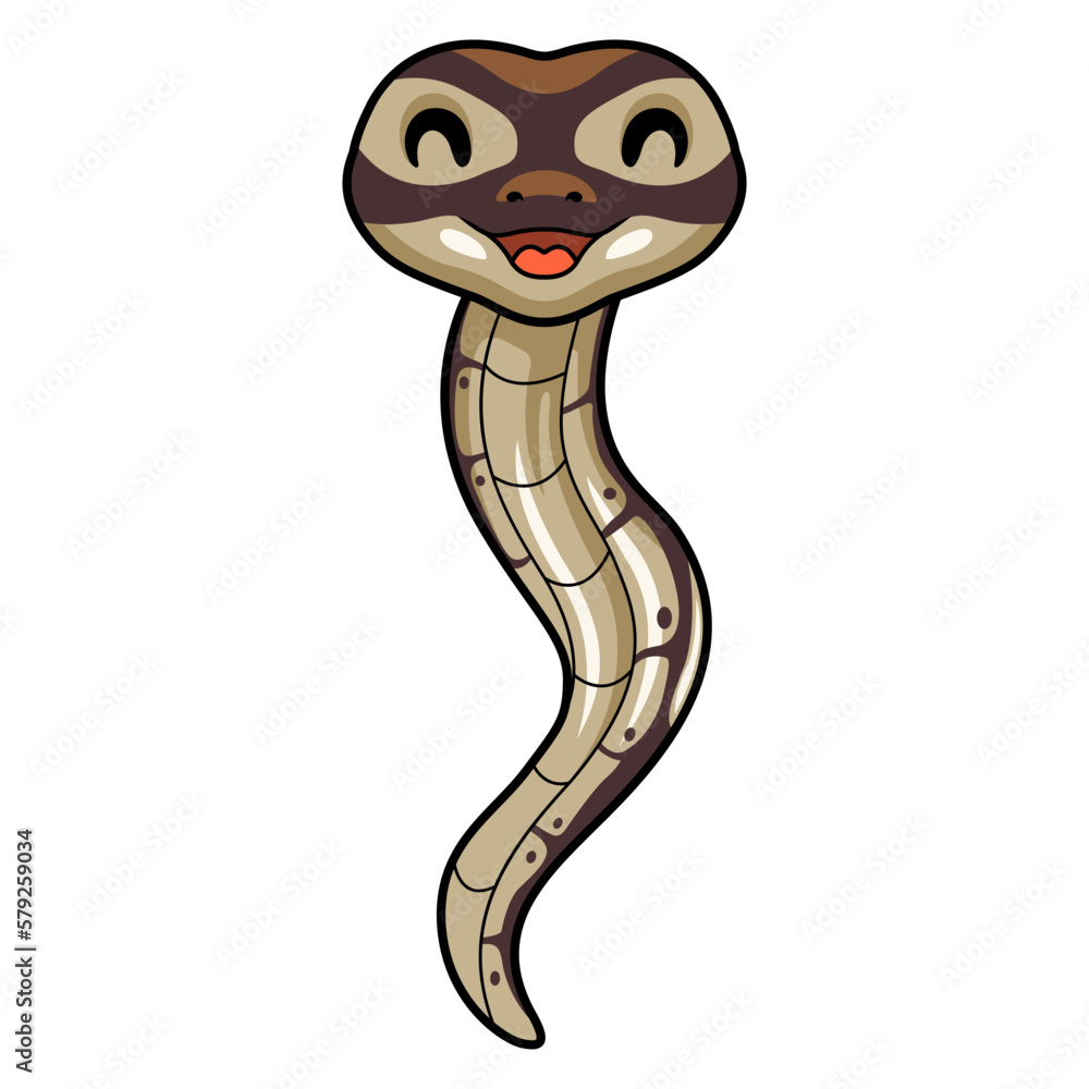 Fototapeta premium Cute black head butter ball python cartoon