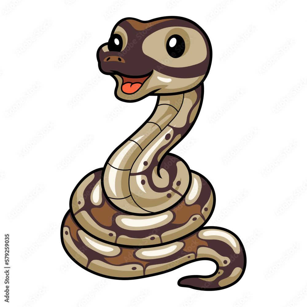 Fototapeta premium Cute black head butter ball python cartoon