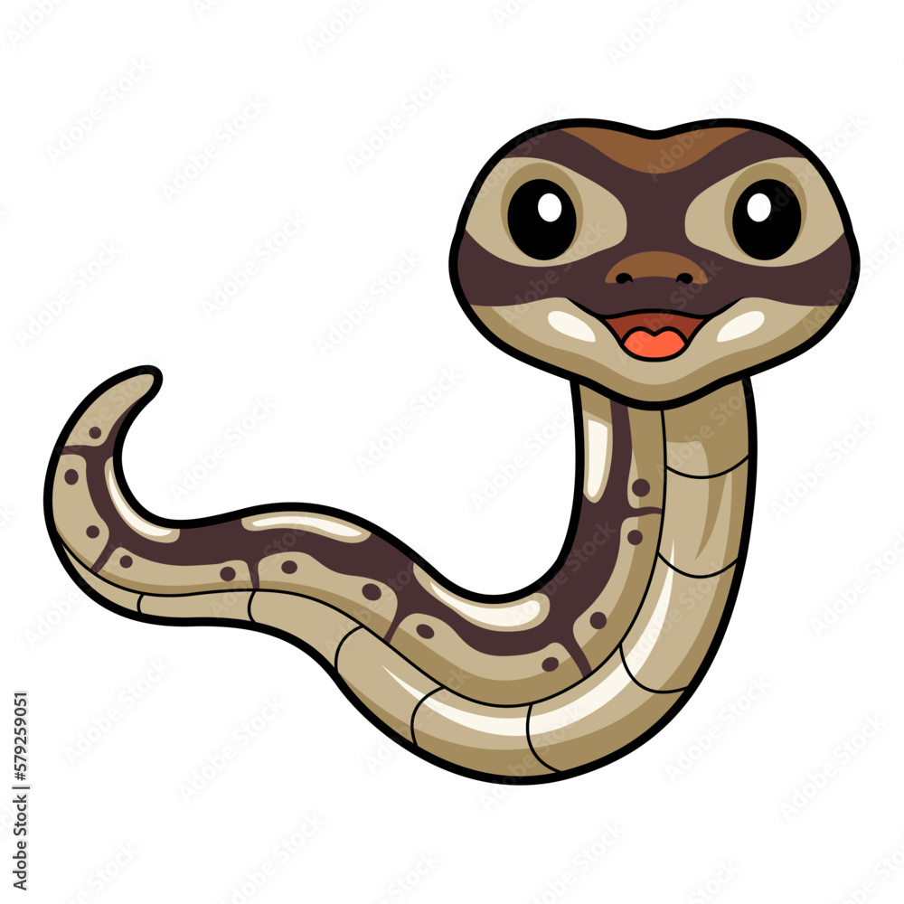 Fototapeta premium Cute black head butter ball python cartoon