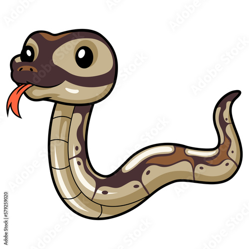Cute black head butter ball python cartoon