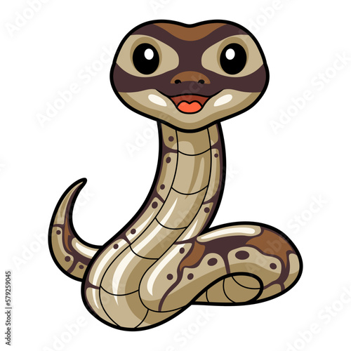 Cute black head butter ball python cartoon