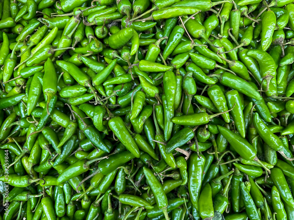 Fresh Green Chilies - Close up Top view at Fresh Market. Very spicy hot Hari Mirchi or Thai Green Chilies Fresh Green Chilies - Close up Top view at Fresh Market. Very spicy hot Hari Mirchi or Thai Green Chilies
