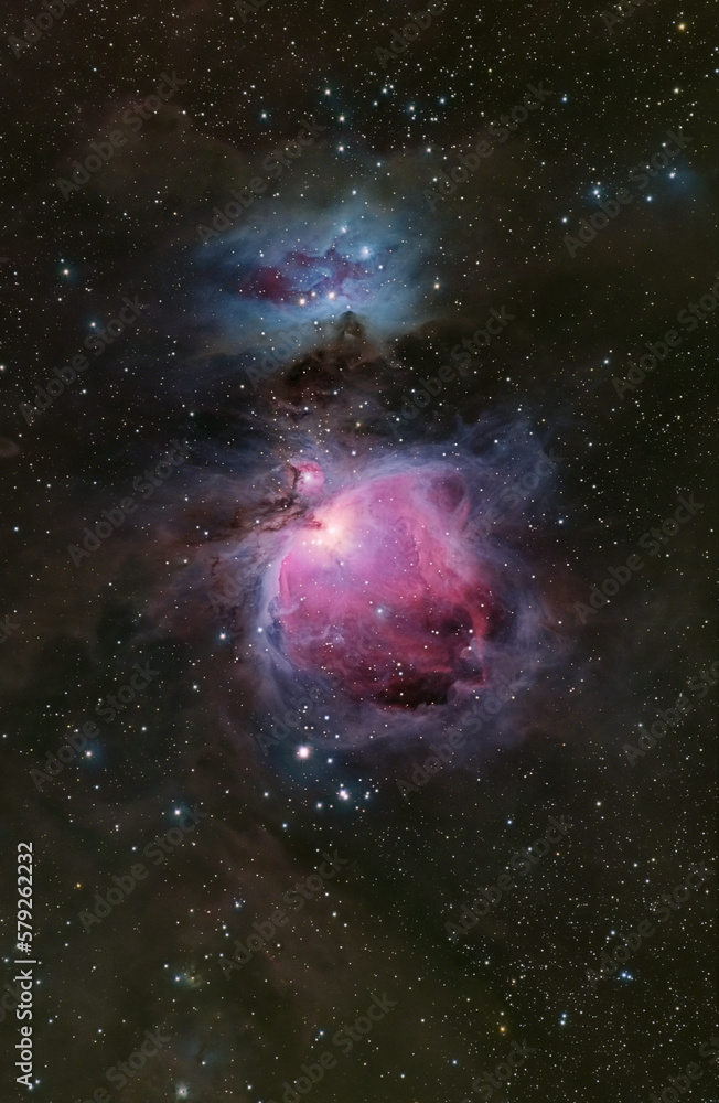 オリオン座大星雲M42