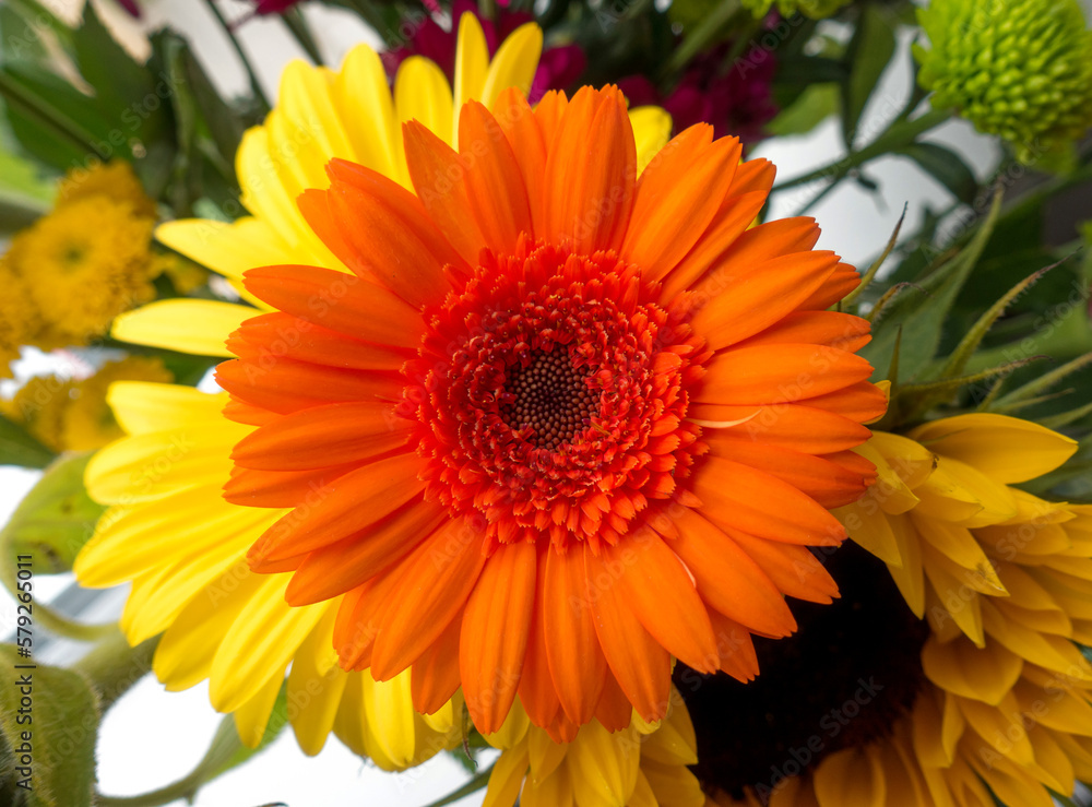 Orange Gerbera flower in a vase with others Orange Gerbera flower in a vase with others