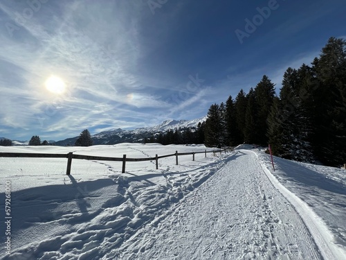 Wallpaper Mural Excellently arranged and cleaned winter trails for walking, hiking, sports and recreation in the area of the tourist resorts of Valbella and Lenzerheide in the Swiss Alps - Switzerland (Schweiz) Torontodigital.ca