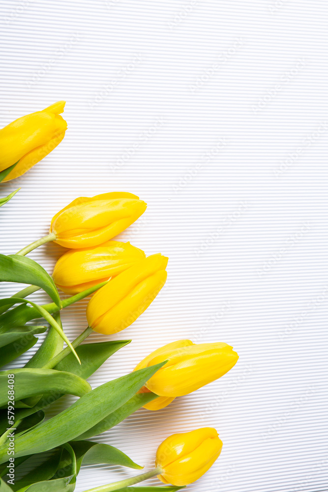Obraz premium Banner with bouquet of tulips in pink and white colors. Concept of spring. Flowers background.