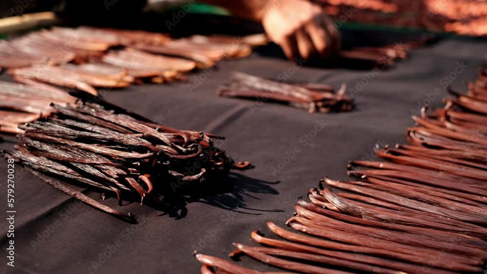 Vanilla Planifolia pods ,Bourbon Vanilla Dark brown black ,(vanilla