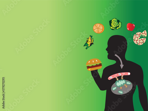 Digestive system in human and how human body use the energy from food through the metabolism. 